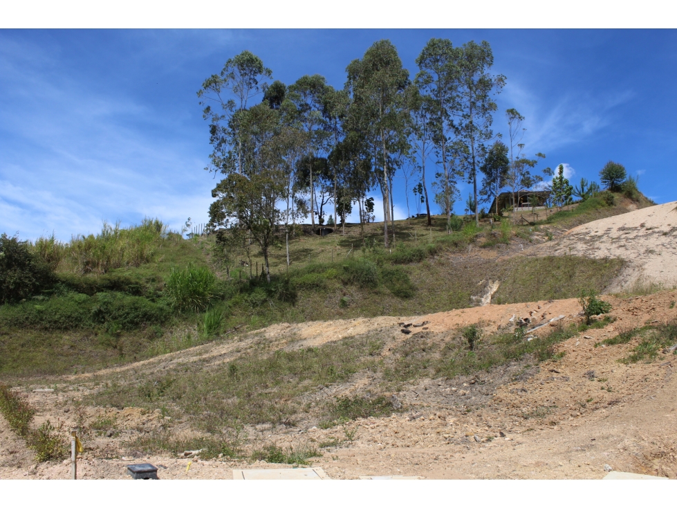 Se vende lote en Unidad Cerrada Sector el Caney San Antonio de Pereira — foto 3