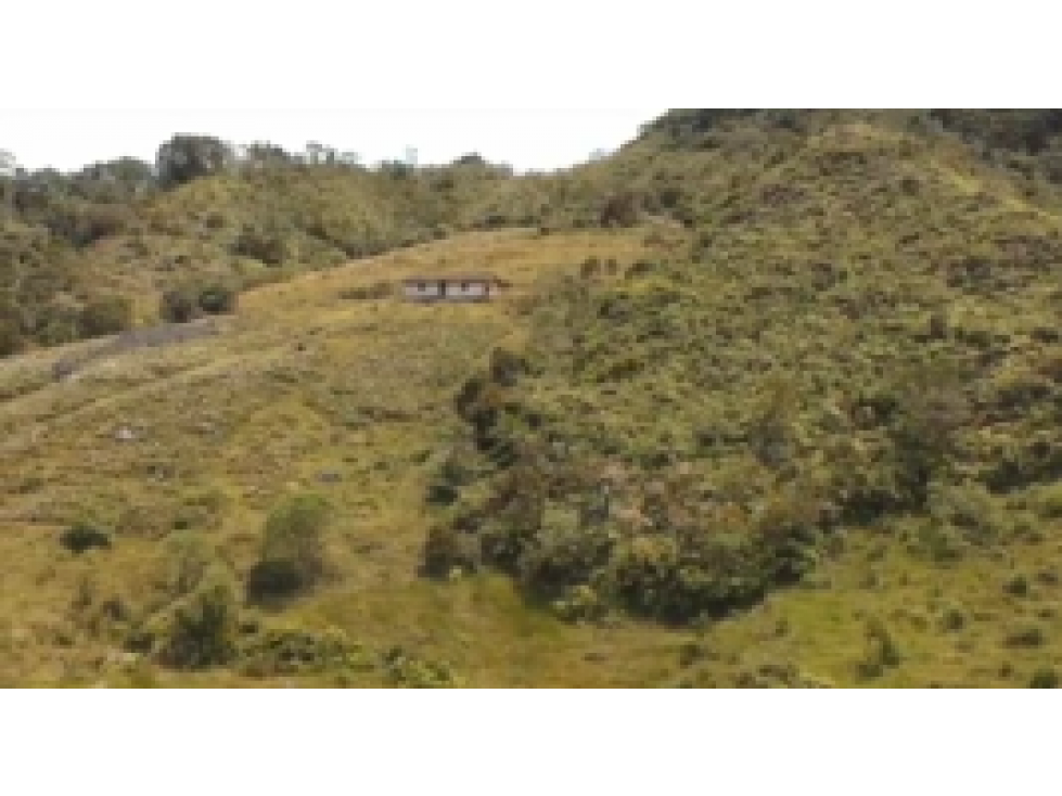 Finca en venta en el Carmen de Viboral, Antioquia. - 4