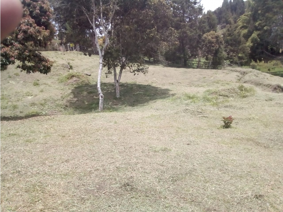 Lote en venta en Guarne, Antioquia — foto 6