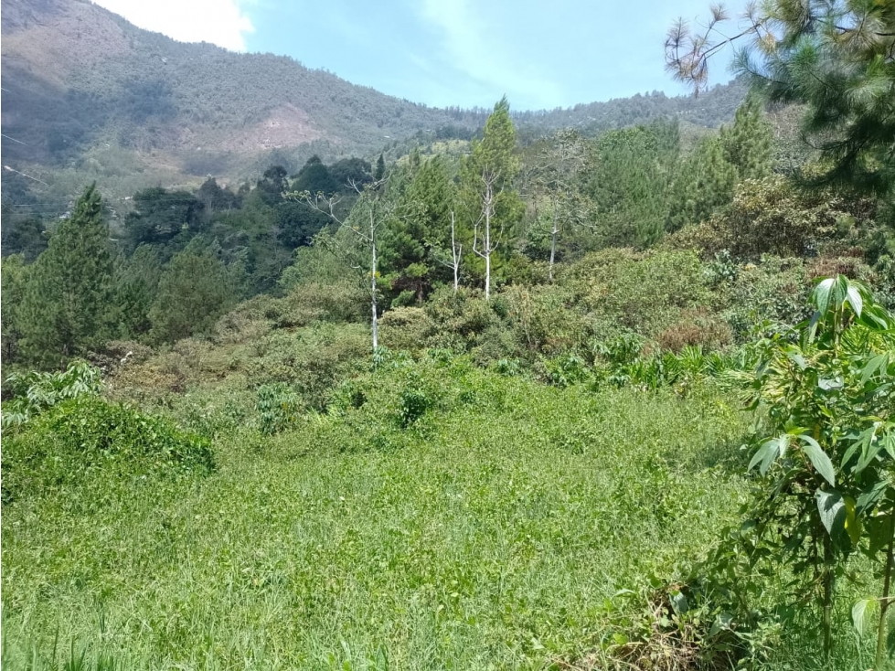 Lote industrial en venta en Copacabana, Antioquia. - 1