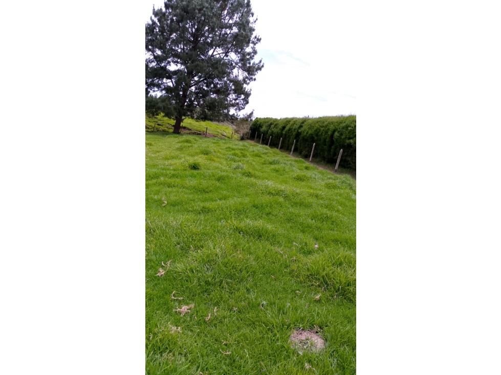Lote en venta en Guarne, Antioquia — foto 3