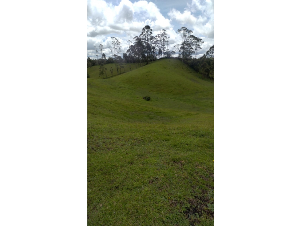 Lote comercial en venta en El Carmen de Viboral, Antioquia. — foto 4