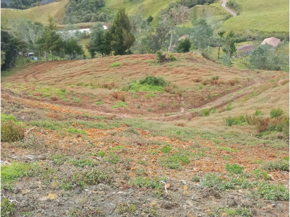 Lote en venta en El Carmen de Viboral, Antioquia. — foto 4