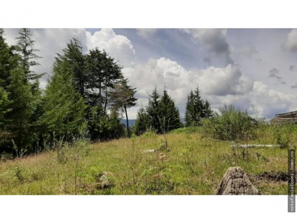 Lote en venta en Guarne, Antioquia — foto 3
