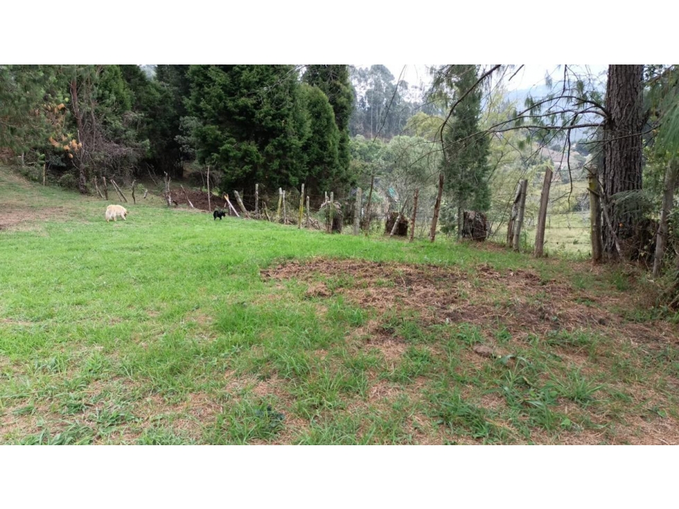 Lote en venta en GUARNE, Sector Vereda La Hondita. — foto 4