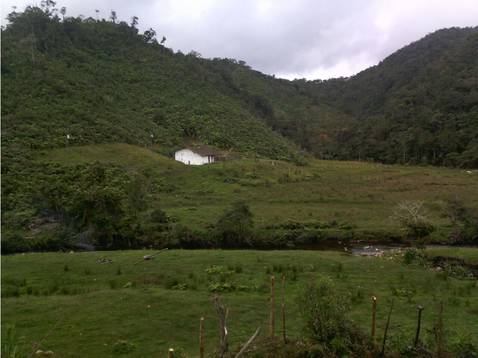 Lote en venta en El Carmen de Viboral, Sector vereda Chaverras - 5