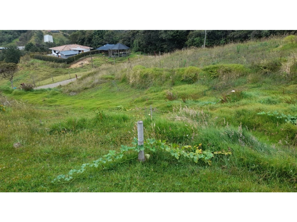 Lote en venta en Envigado, sector Alto de las Palmas, Pantanillo — foto 5