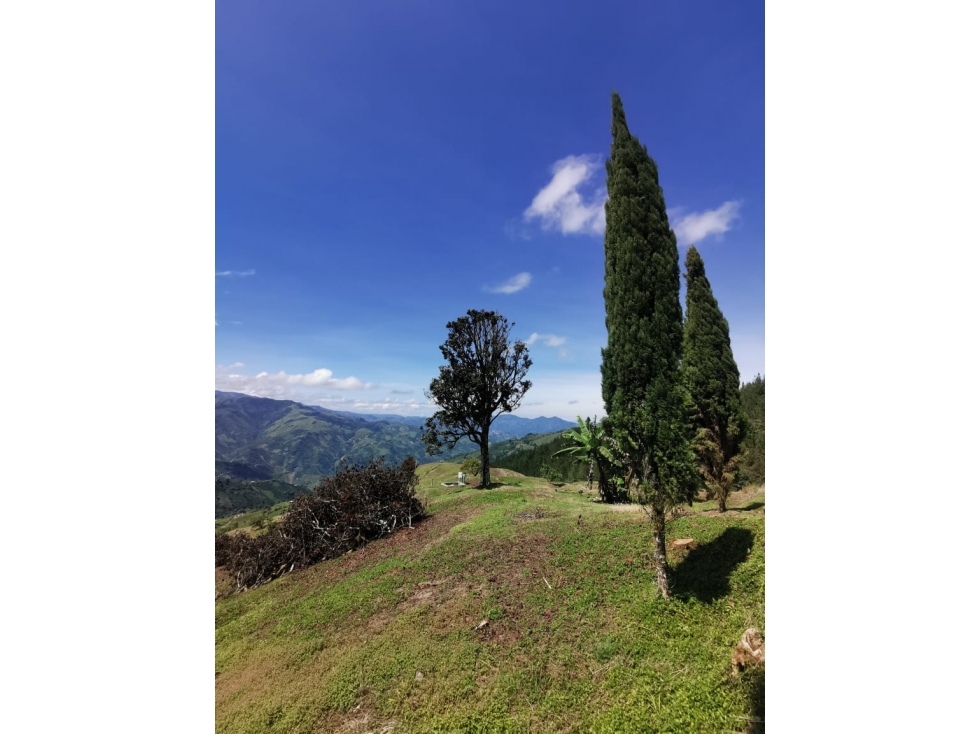 Lote en venta en el Departamento de Caldas - 4