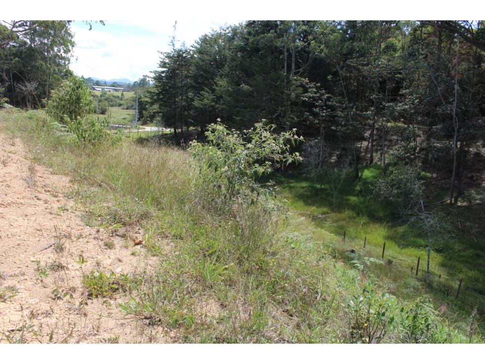 Se vende lote en Unidad Cerrada Sector el Caney San Antonio de Pereira — foto 6