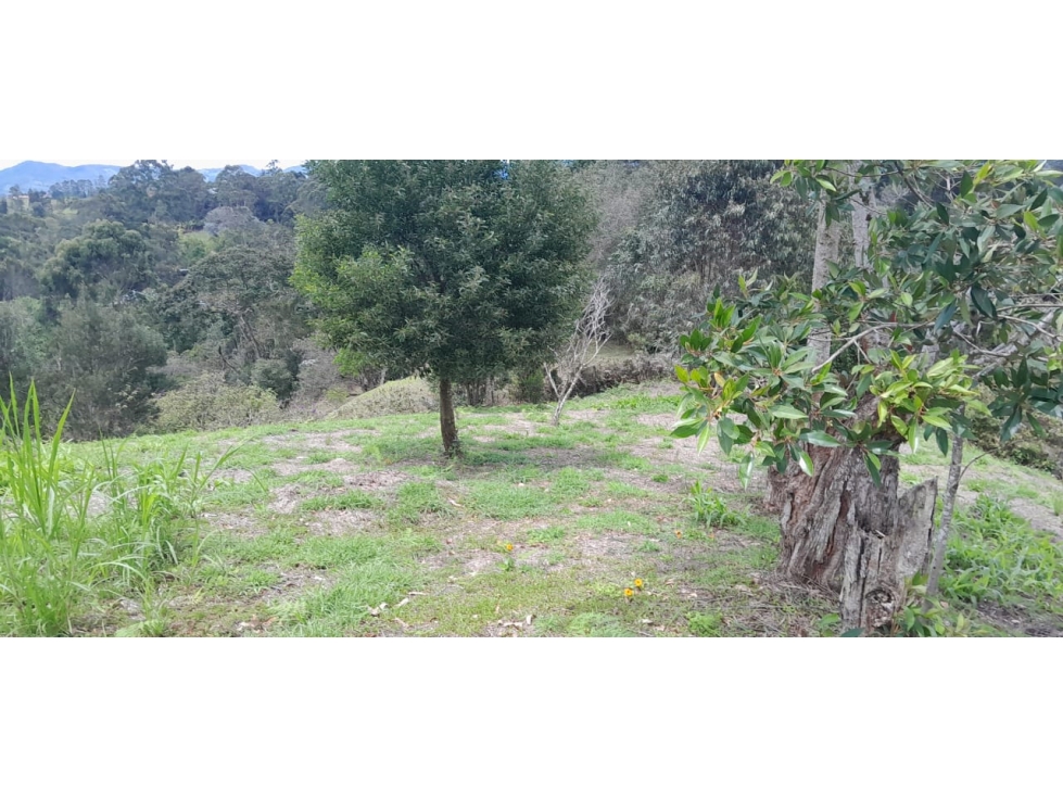 Lote en venta en Rionegro, Sector Quirama, Antioquia. — foto 6