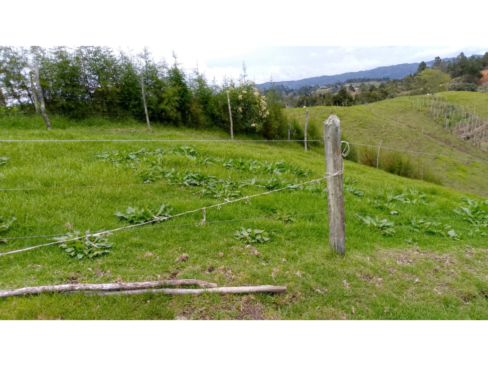 Lote en venta en Guarne, Antioquia — foto 2
