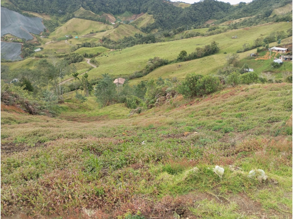 Lote en venta en El Carmen de Viboral, Antioquia. — foto 5