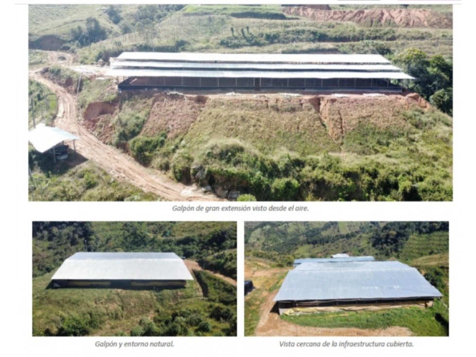 Finca en Venta, Granada (Ant.), Vereda El Jardin - 5