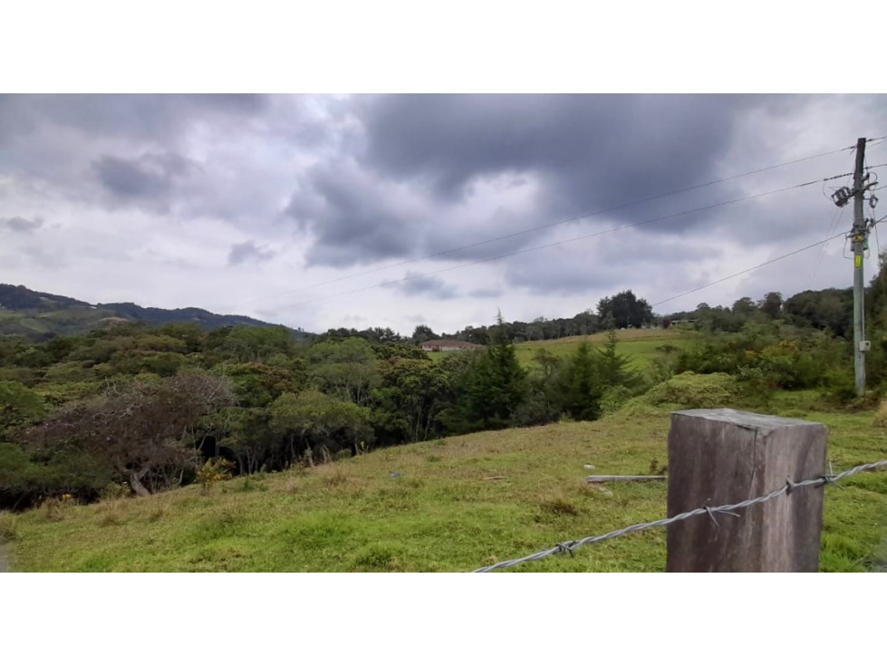 Lote en venta en Envigado, sector Alto de las Palmas, Pantanillo — foto 4