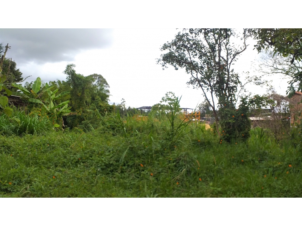 Lote vitrina en Venta en Rionegro, sector Autopista Medellín-Bogota — foto 5