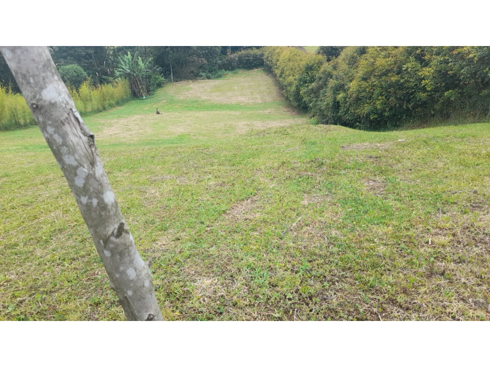 Lote en venta en El Carmen de Viboral, Antioquia. — foto 5