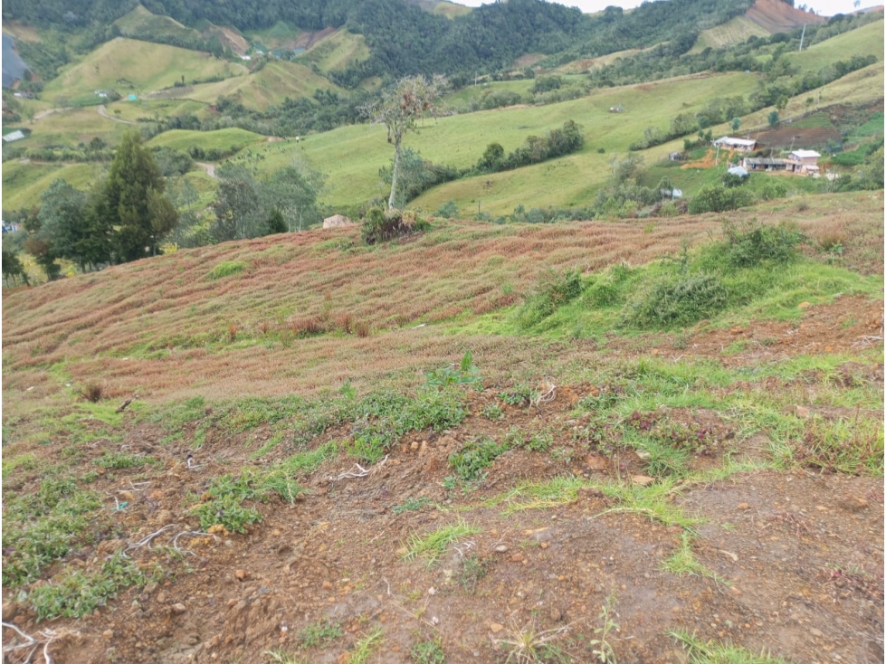 Lote en venta en El Carmen de Viboral, Antioquia. — foto 6