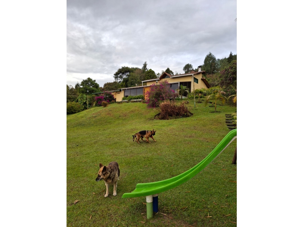 Finca en venta en Guarne, Antioquia.