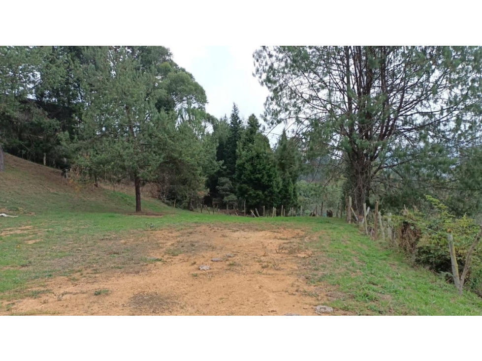 Lote en venta en GUARNE, Sector Vereda La Hondita. — foto 6