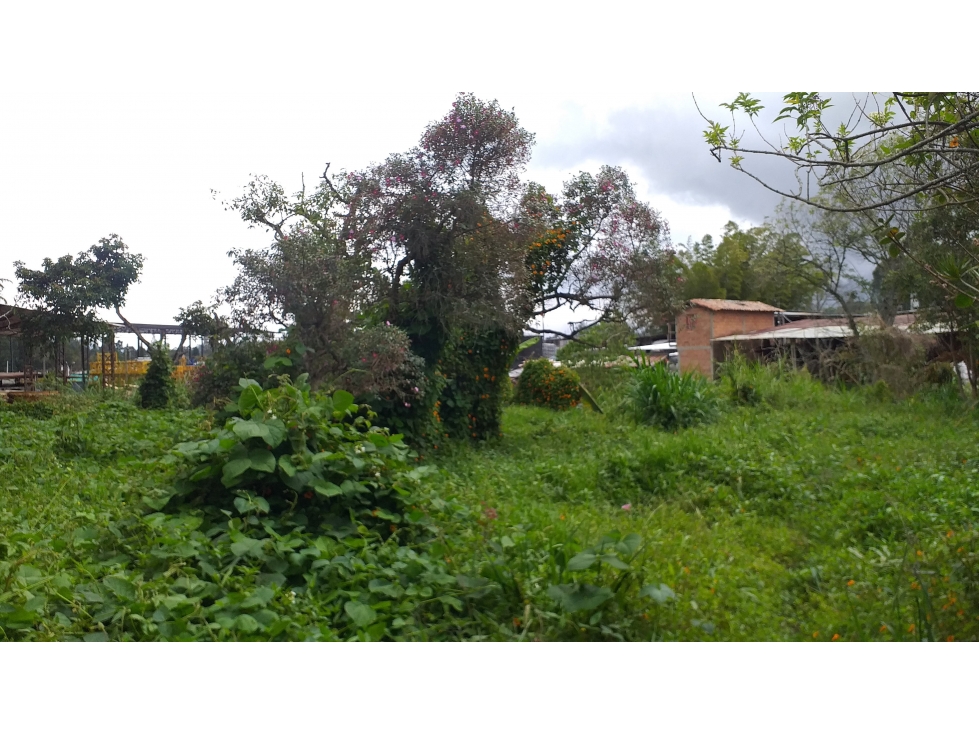 Lote vitrina en Venta en Rionegro, sector Autopista Medellín-Bogota — foto 6
