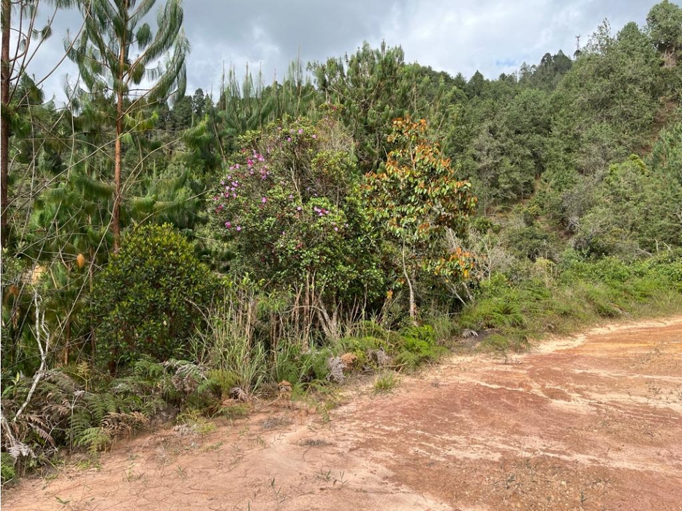 Lote en Venta en Guarne — foto 6
