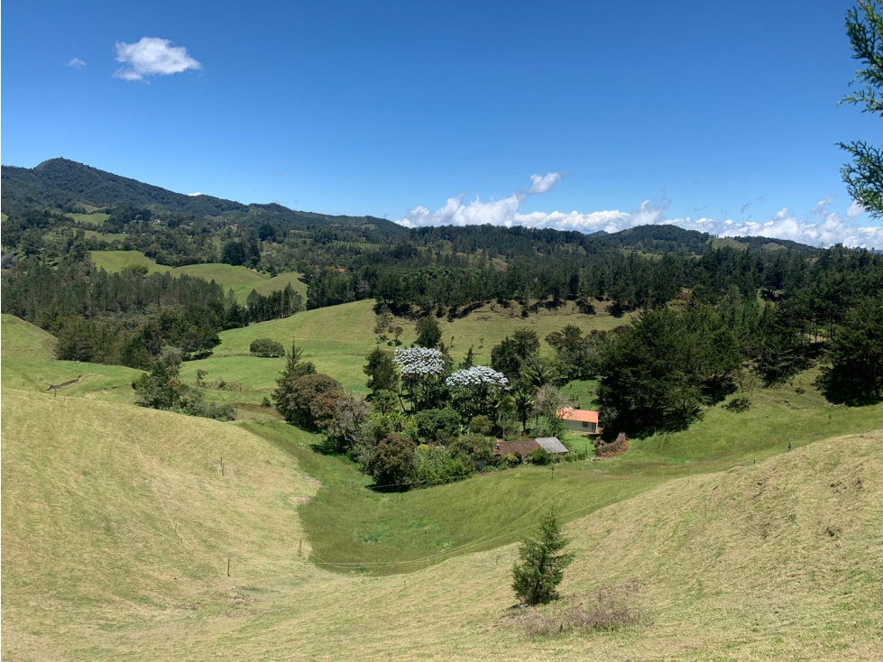 Lote en venta En El Retiro, Antioquia. — foto 5