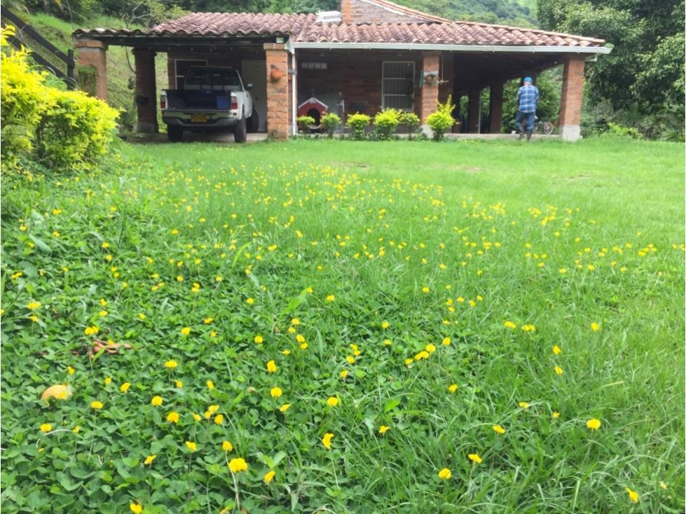 Finca en venta en Sopetran, sector vereda Santa Rita - 1