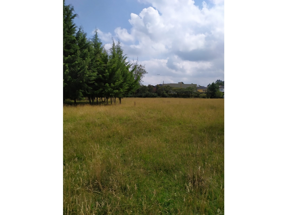 Lote en venta en Rionegro, sector Aeropuerto — foto 4