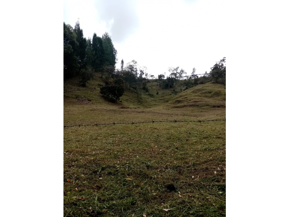 Lote en venta en Guarne, Antioquia — foto 3