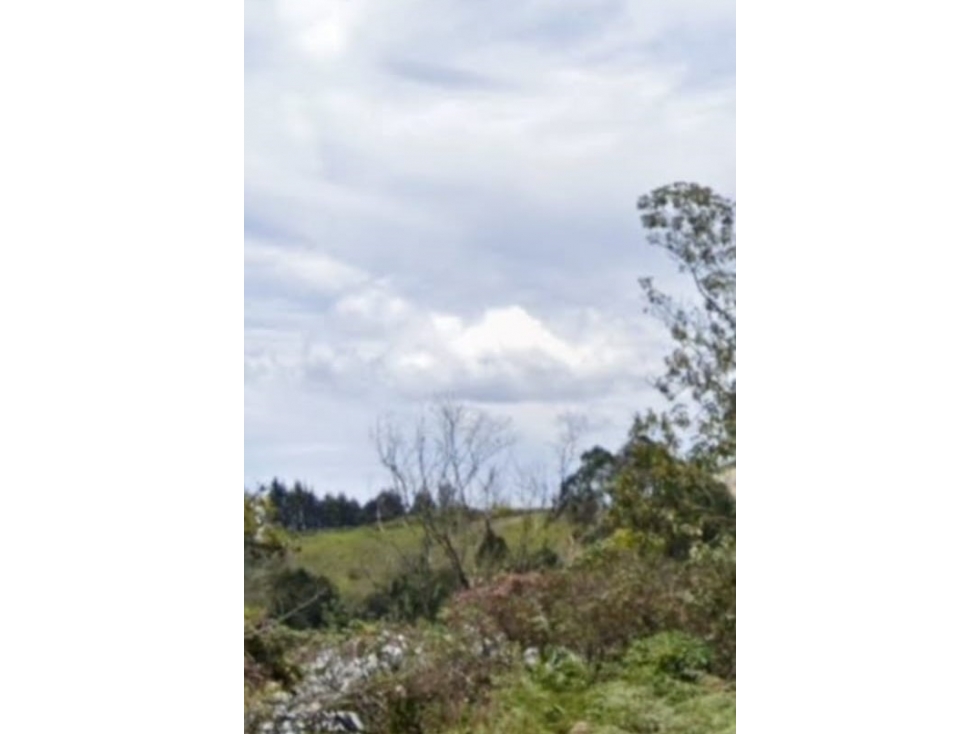 Lote industrial en venta En Guarne, Antioquia. — foto 2