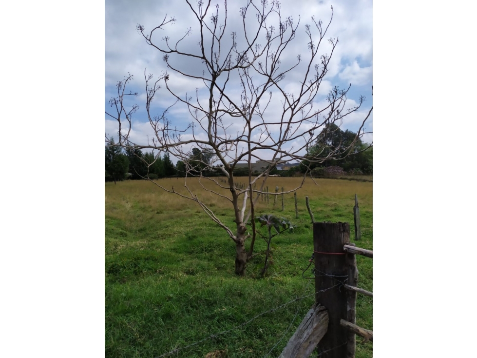 Lote en venta en Rionegro, sector Aeropuerto — foto 5