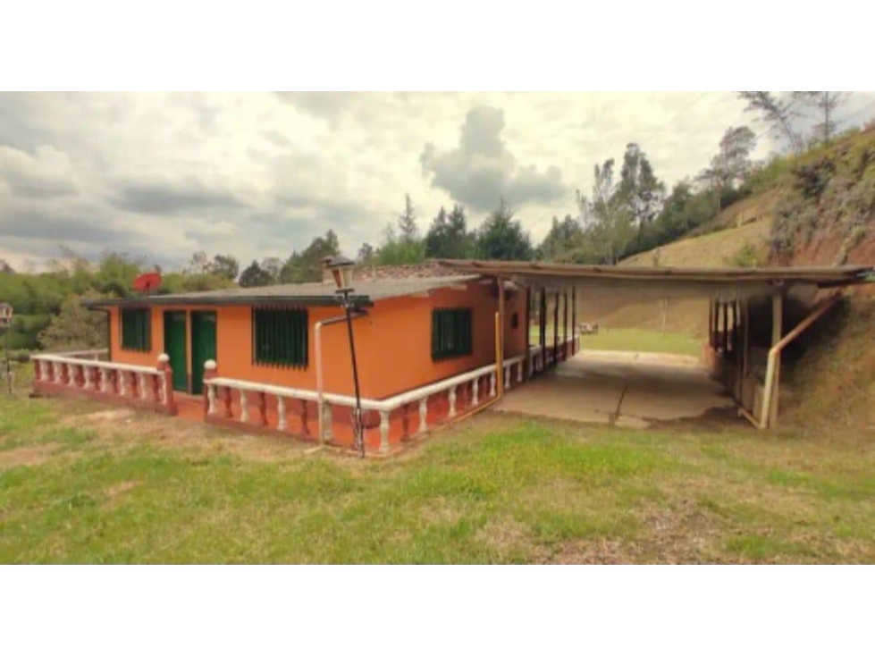 Finca en Venta en Rionegro Vereda Abreo, con 2 Viviendas — foto 5