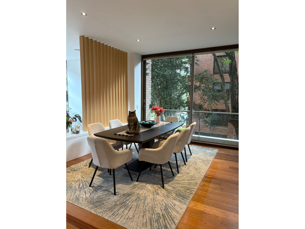 Apartamento Cabrera Con Terraza — foto 5
