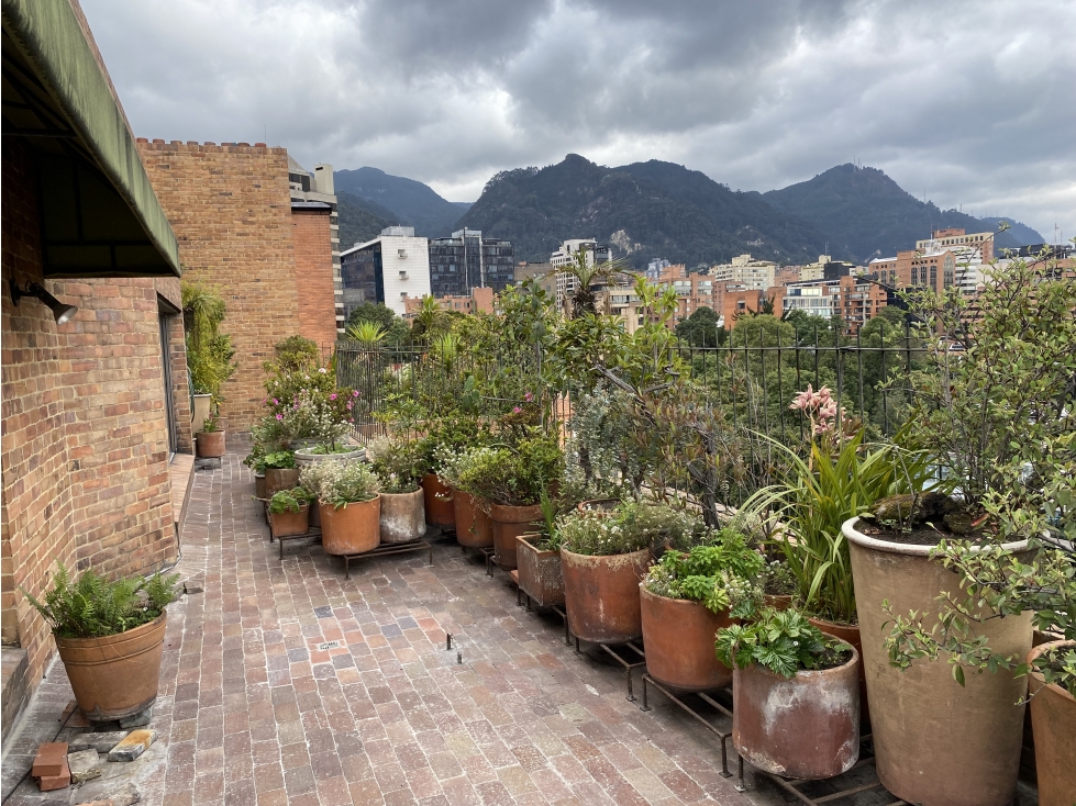 Apartamento Único