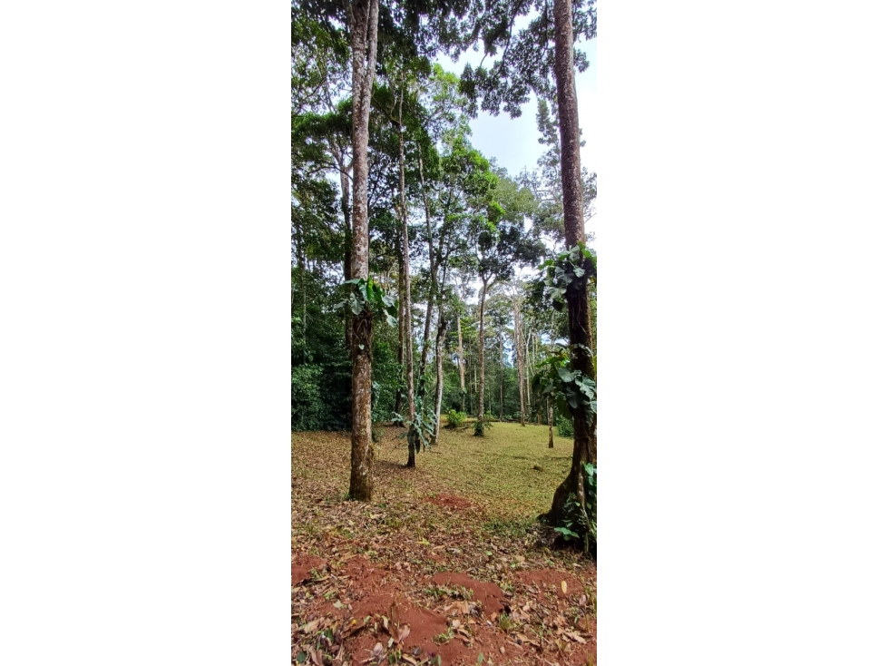 VENTA DE TERRENO ALTOS DE CERRO AZUL (13) — foto 2
