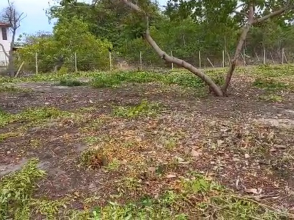 VENTA DE TERRENO, CHAME (6)