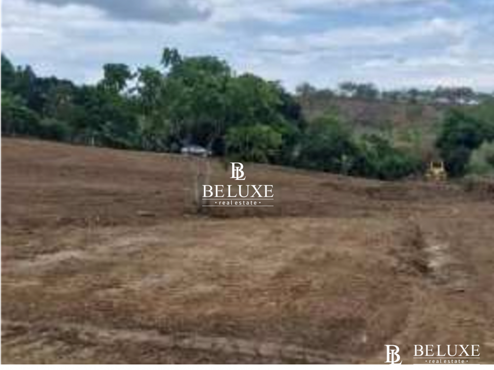 VENTA DE TERRENO COMERCIAL EN LAS MAÑANITAS TOCUMEN (6)