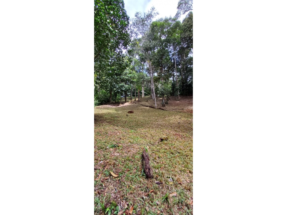 VENTA DE TERRENO ALTOS DE CERRO AZUL (13) — foto 3