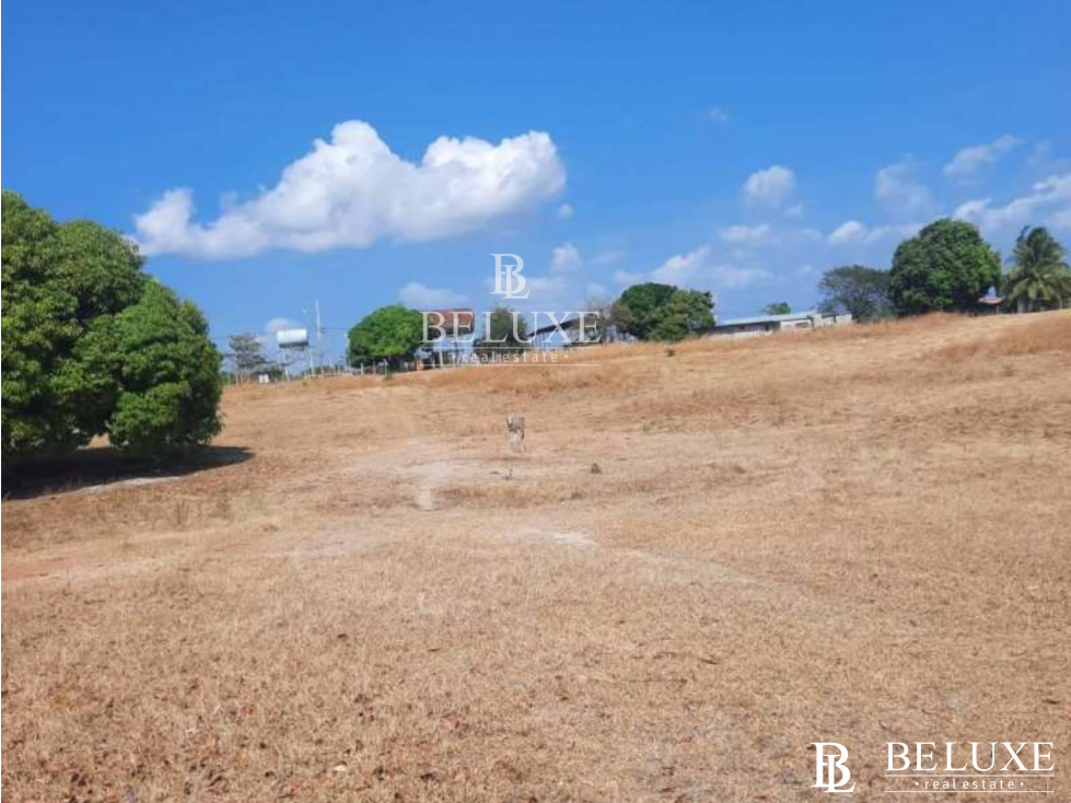 VENTA DE TERRENO FRENTE AL MAR CORONADO (6)