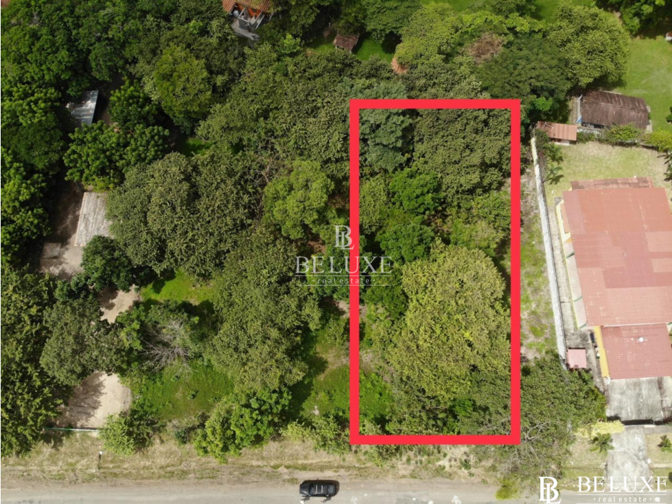 VENDO TERRENO EN CORONADO (7)