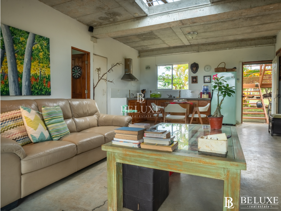 VENTA DE FINCA DE 25 HECTÁREAS EN RÍO HATO, COCLÉ (2) - 3