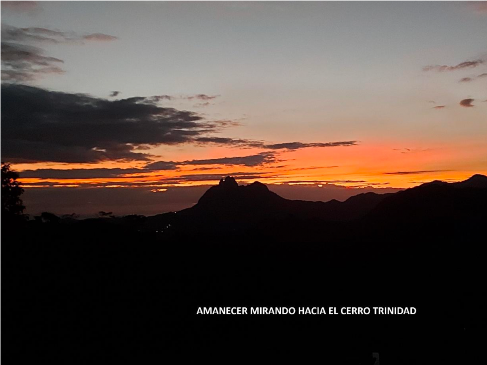 VENTA DE FINCA DE CAFE Y FRUTALES, TERRENO EN EL CACAO CAPIRA (13) — foto 2