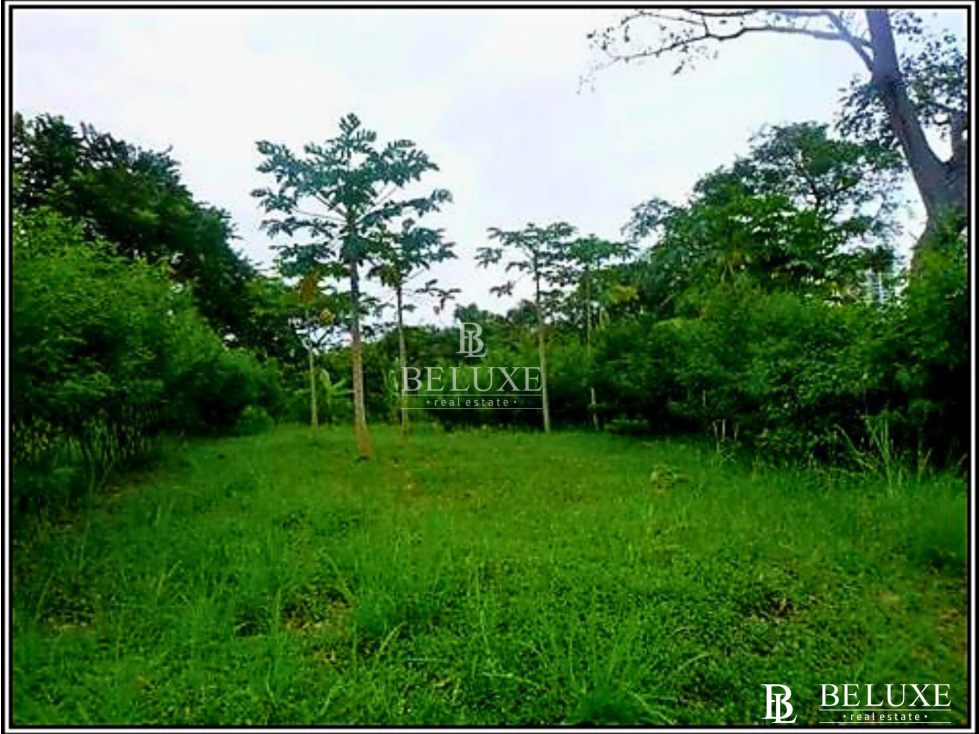 VENTA DE TERRNO EN CORONADO, PLAYA GORGONA (6)