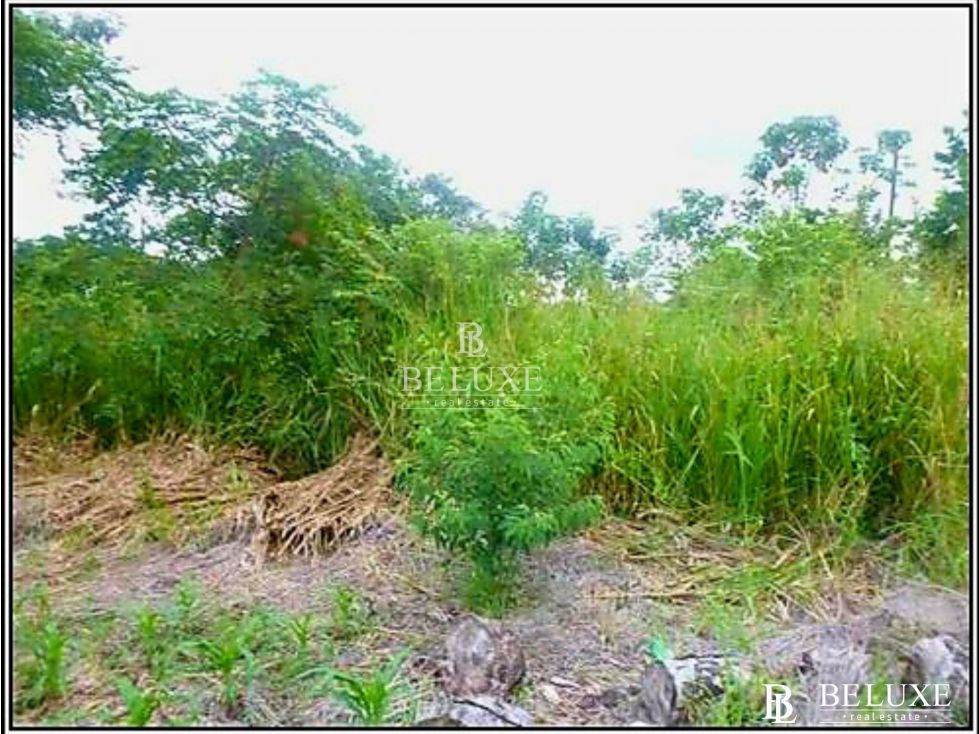 VENTA DE TERRENO EN CORONADO, PLAYA GORGONA (6)