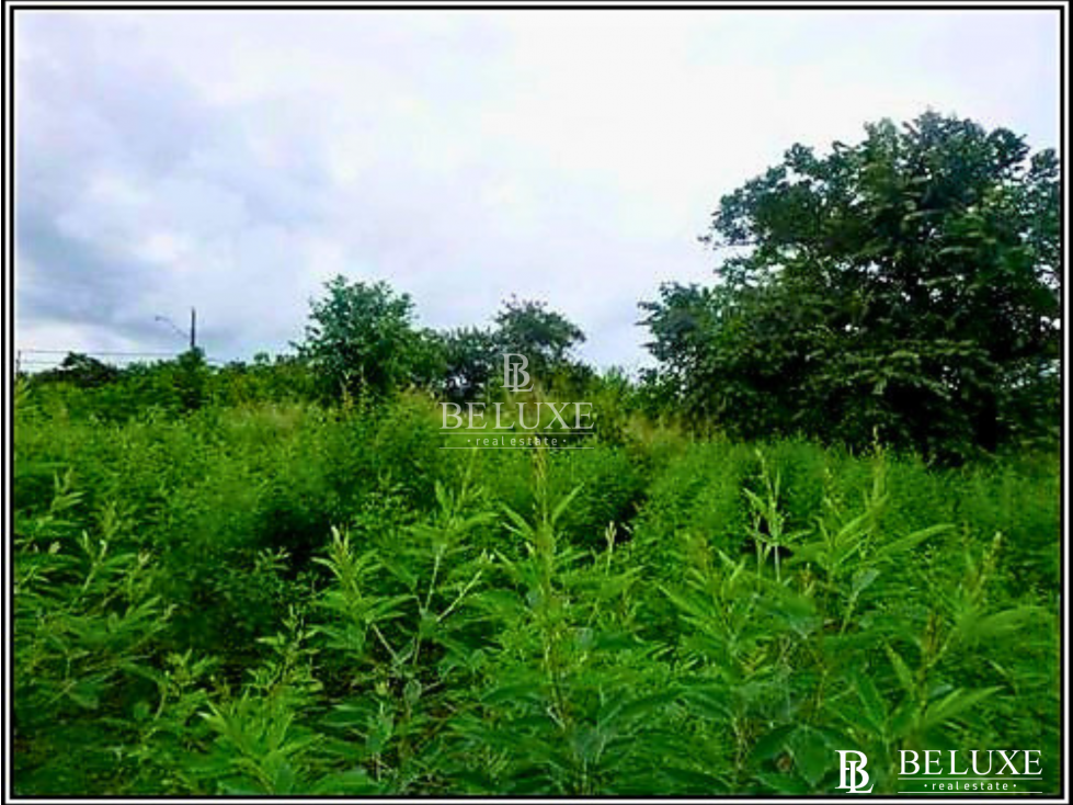 VENTA DE TERRENO EN CORONADO, PLAYA GORGONA (6)