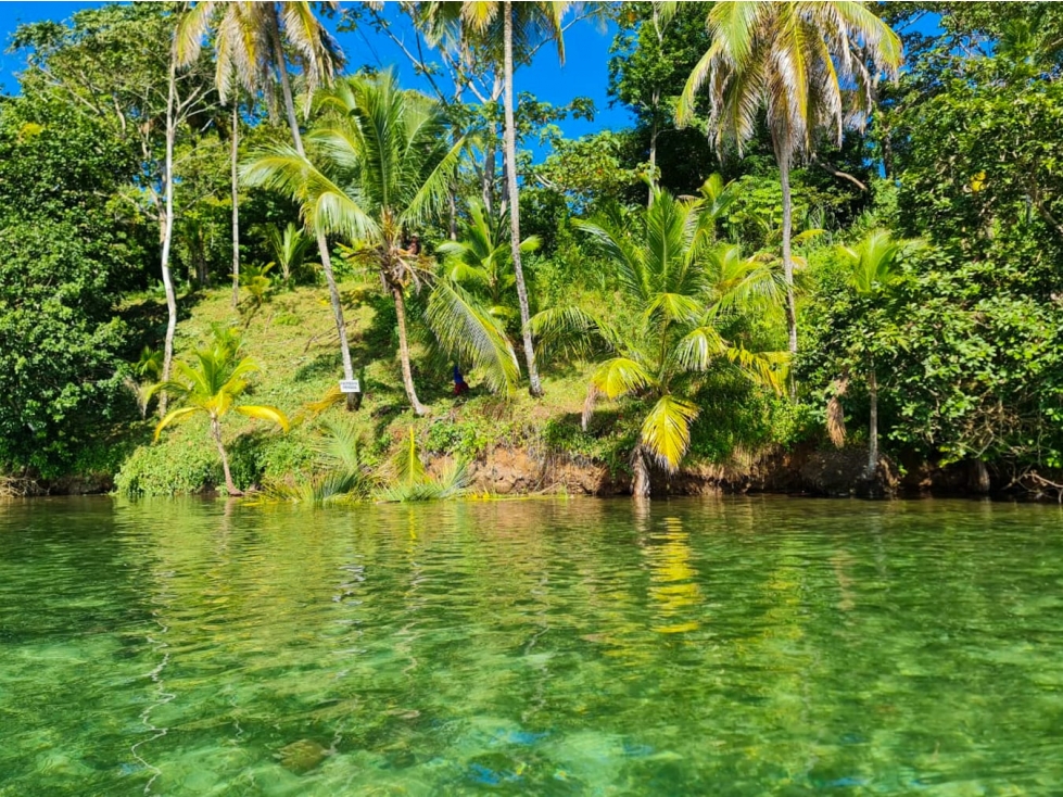 VENTA DE TERRENO FRENTE AL MAR, ISLA POPA, BOCAS DEL TORO(13) - 2