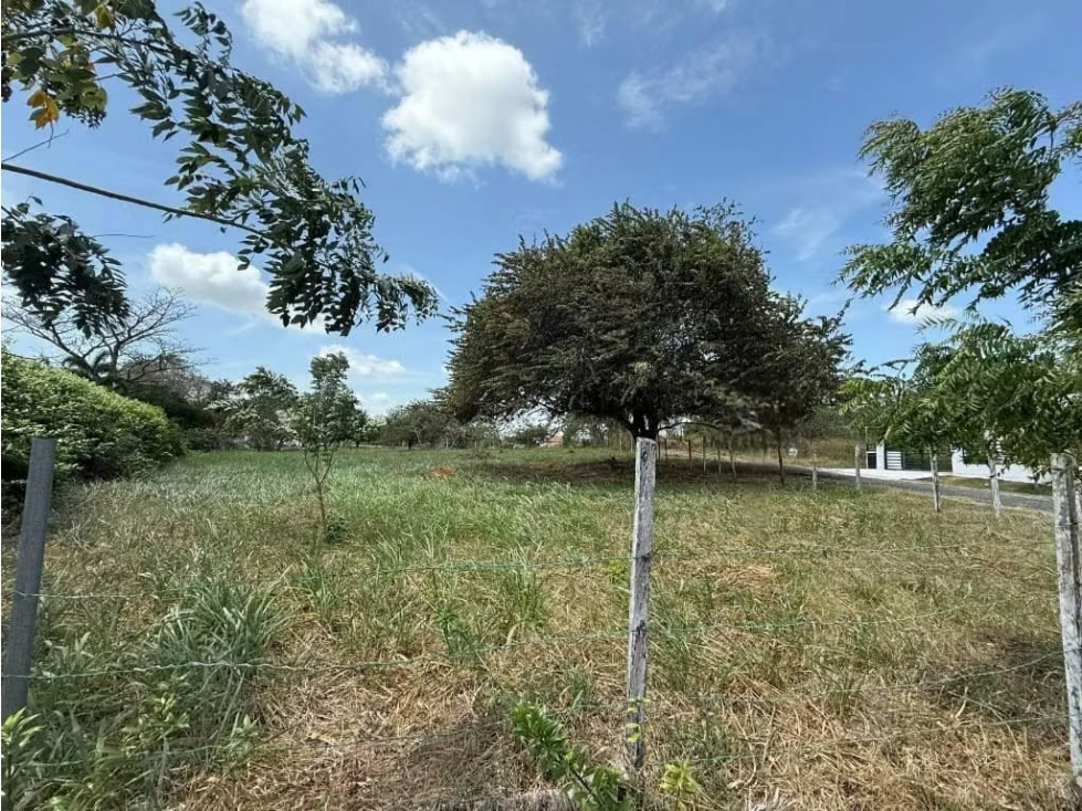 VENDO TERRENO EN NUEVA GORGONA CHAME (6) — foto 2