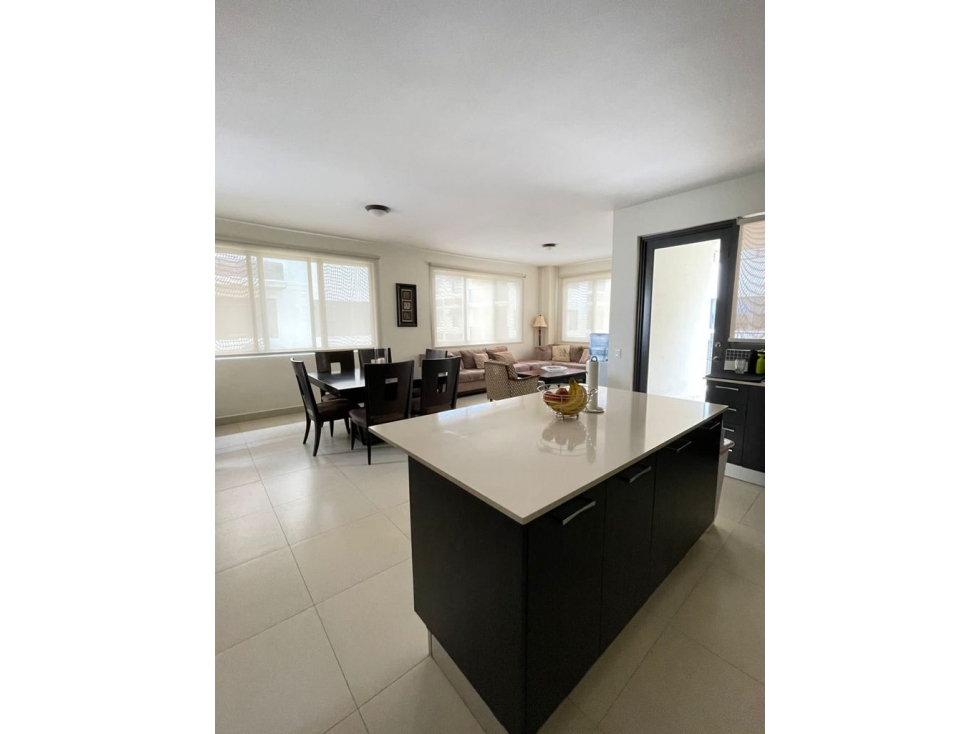 VENDO APARTAMENTO AMOBLADO EN PANAMÁ PACÍFICO PH RIVER VALLEY (6) - 4