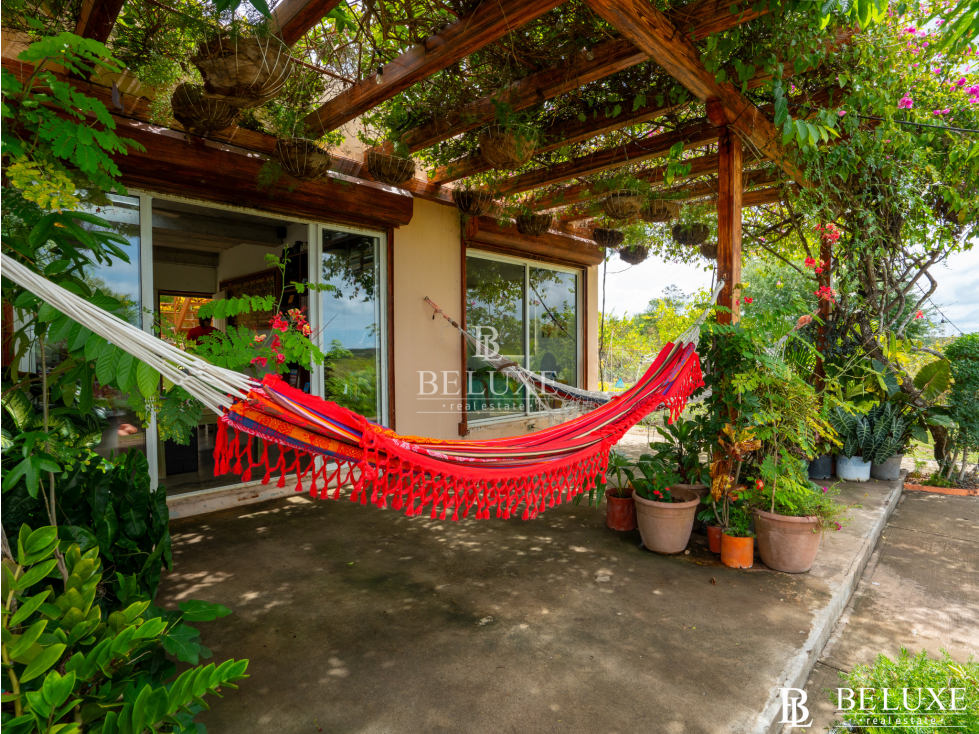 VENTA DE FINCA DE 25 HECTÁREAS EN RÍO HATO, COCLÉ (2) - 4