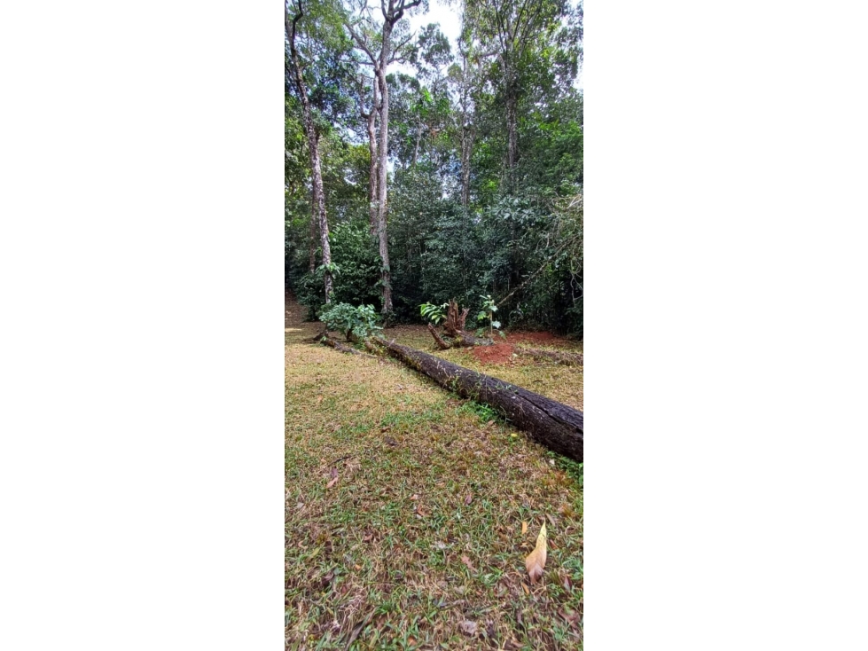 VENTA DE TERRENO ALTOS DE CERRO AZUL (13) — foto 4